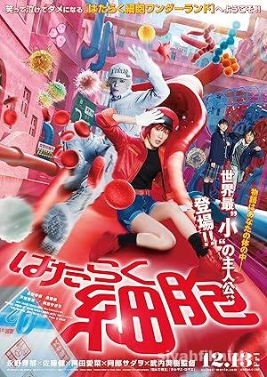 Cells at Work 2024 izle
