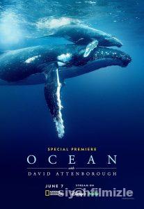 David Attenborough ile Okyanuslar 2025 izle