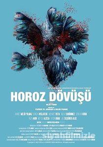 Horoz Dövüşü 2022 izle