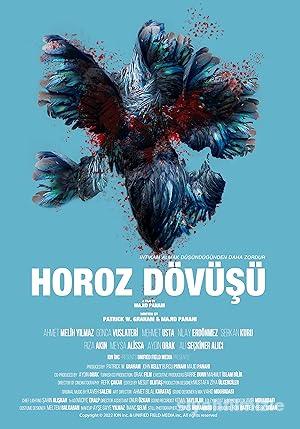 Horoz Dövüşü 2022 izle