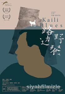 Kaili Blues 2015 izle