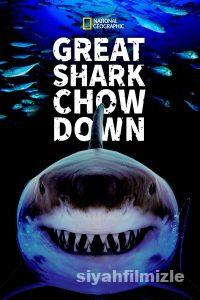 Köpekbalıklarının Ziyafeti 2019 izle