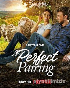 Kusursuz Uyum 2022 izle