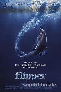 Flipper 1996 izle