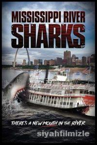 Mississippi Nehri Köpek Balıkları 2017 izle