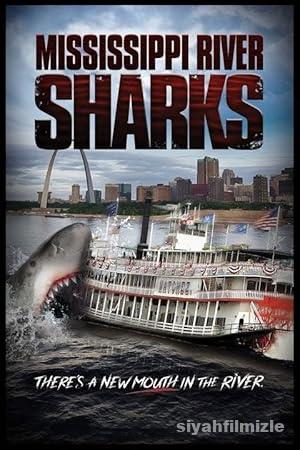 Mississippi Nehri Köpek Balıkları 2017 izle