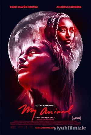 İçimdeki Hayvan 2023 izle