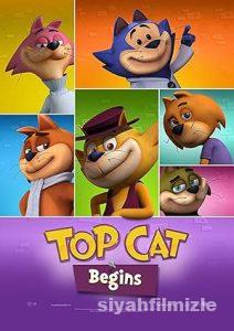 Sevimli Kedi İş Başında 2 2015 izle