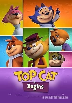 Sevimli Kedi İş Başında 2 2015 izle