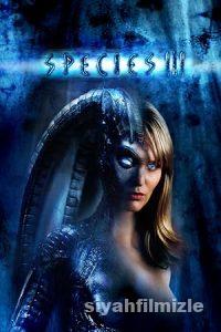 Tehlikeli Tür 3 2004 izle