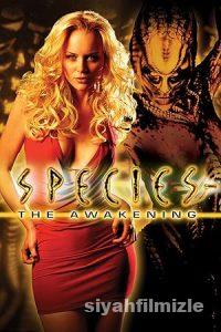 Tehlikeli Tür 4 2007 izle