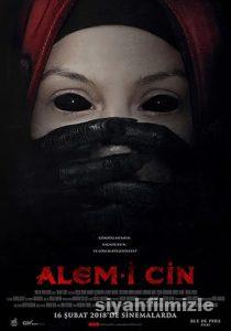 Alem-i Cin Film Serisi
