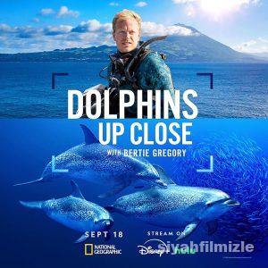 Dolphins Up Close with Bertie Gregory 2025 izle