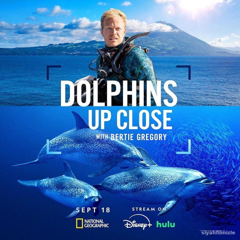 Dolphins Up Close with Bertie Gregory 2025 izle