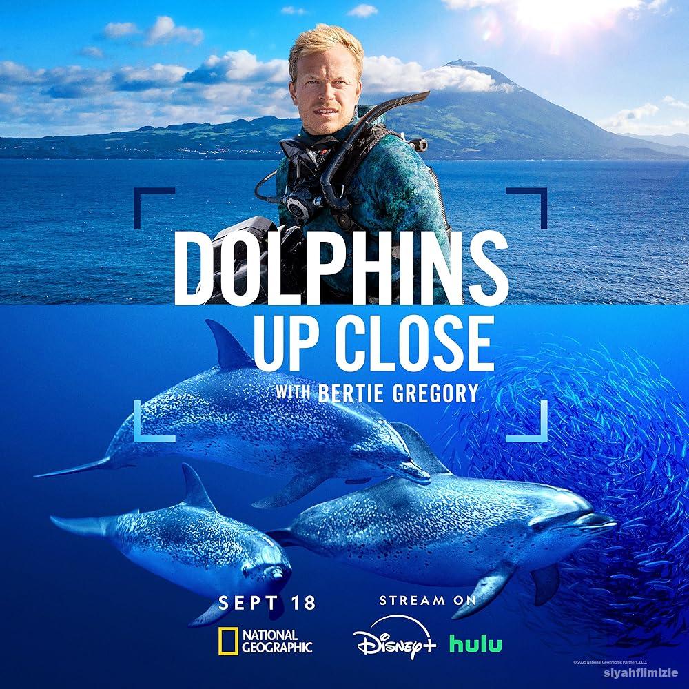 Dolphins Up Close with Bertie Gregory 2025 Filmi Full izle