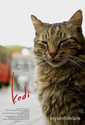 Kedi 2016 izle