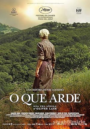 Yangın Yeri 2019 izle