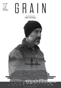 Buğday 2017 izle