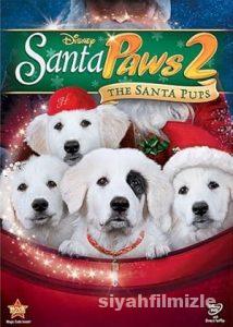 Yeni Yıl Köpekleri Film Serisi