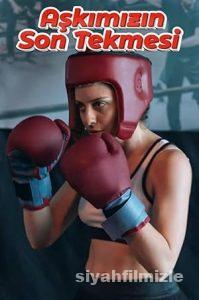 Aşkımızın Son Tekmesi 2019 izle
