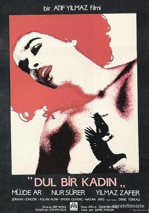 Dul Bir Kadın 1985 izle