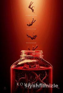 Kombucha 2025 izle