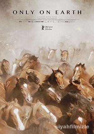 Only on Earth 2025 izle