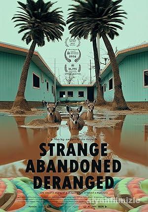 Hiçbir Şey Normal Değil 2024 Yerli Filmi Full Sansürsüz izle