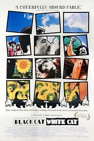 Kara Kedi Ak Kedi 1998 Filmi Türkçe Dublaj Altyazili izle